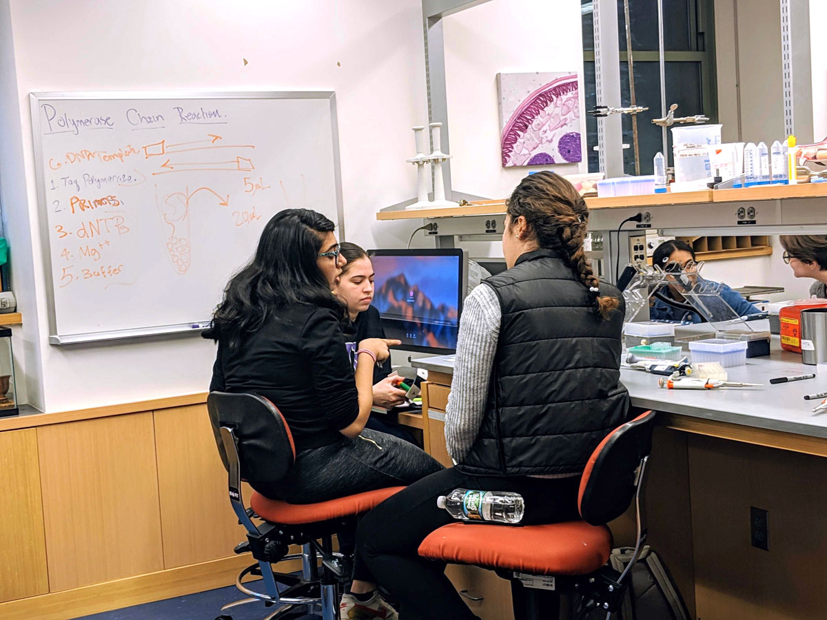 Learning at the Bench (LAB) Jumpstart NYC Science Research Mentoring